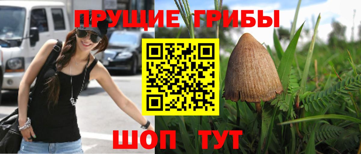 Псилоцибиновые грибы мицелий  купить наркоту  Красногорск  Вход с VPN 